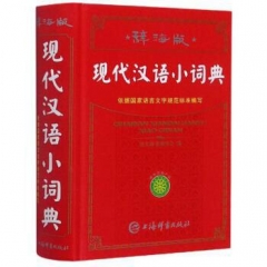 唐文 辞海版现代汉语小词典