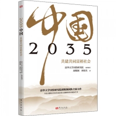 2035中国 共建共同富裕社会