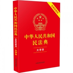 中华人民共和国民法典（大字本）（含典型案例）